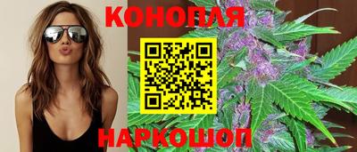 Альфа ПВП Ачхой-Мартан